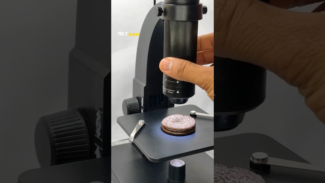 Oreo Biscuit Inside the Microscope #shorts #oreo #microscope #microbiology #microvideo #science