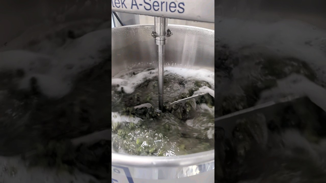 SLOW MOTION - Hashtek Ice Water Extraction