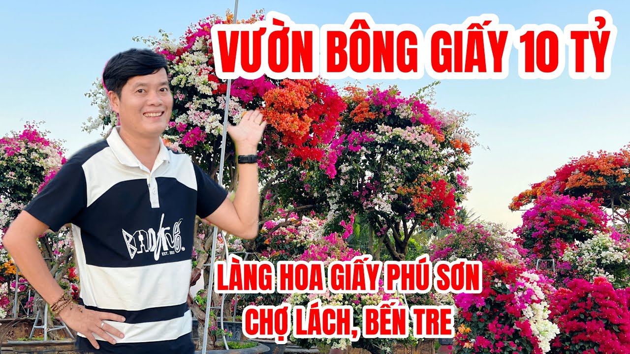 Tết về ở Làng hoa giấy Phú Sơn (Bến Tre), Khương Dừa bị mê hoặc bởi khu vườn hoa giấy 10 tỷ