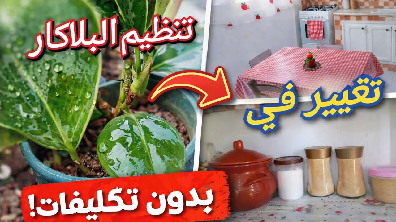 روتين التنظيف💥 تنظيم المطبخ والبلاكار ✅رجعت ريمة لعادتها القديمة 