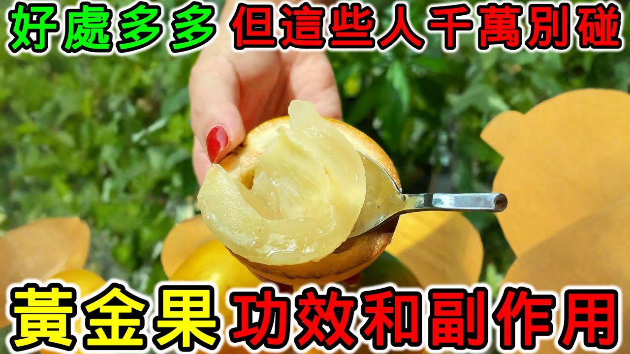 黃金果有什麼營養？黃金果有什麼功效？黃金果有什麼副作用？黃金果要怎樣吃？黃金果不能和什麼一起吃？黃金果什麼人不能吃？黃金果一天可吃多少？血糖高可以吃黃金果嗎？黃金果要削皮嗎？吃完黃金果嘴巴黏黏的怎麼辦