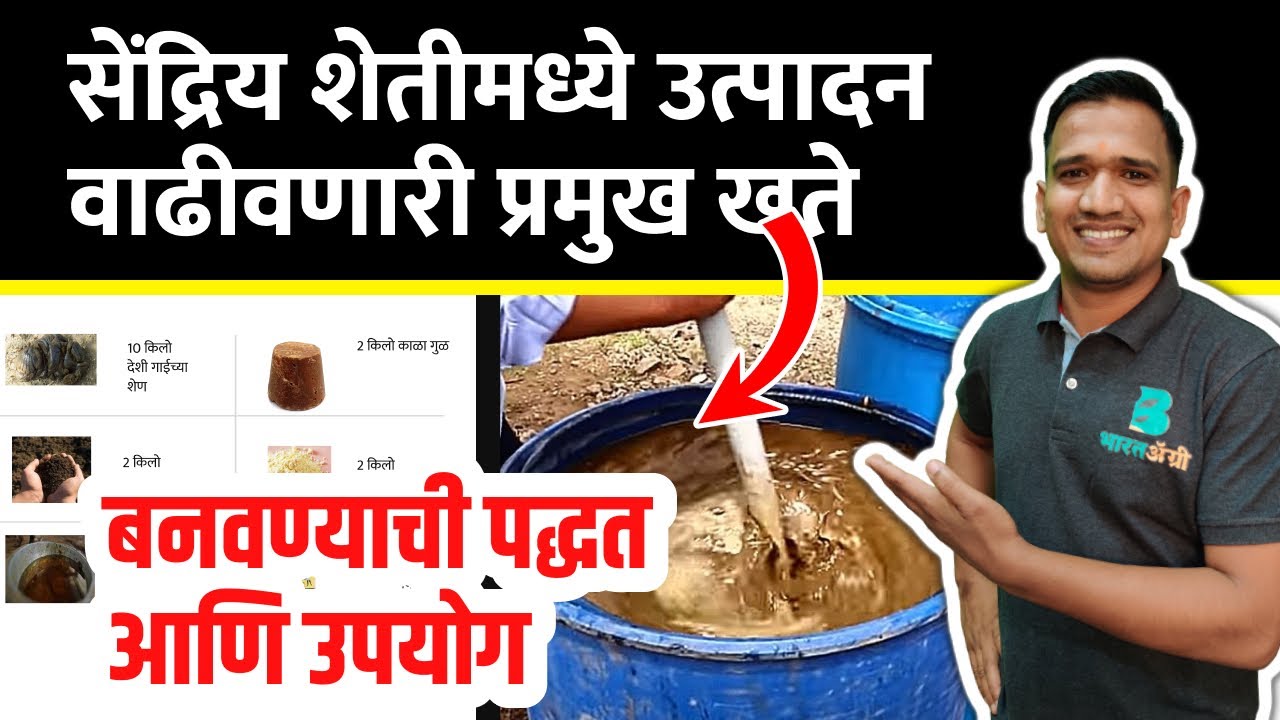 सेंद्रिय शेती | सेंद्रिय खते | बनवण्याची पद्धत , वापर आणि फायदे | Organic Farming