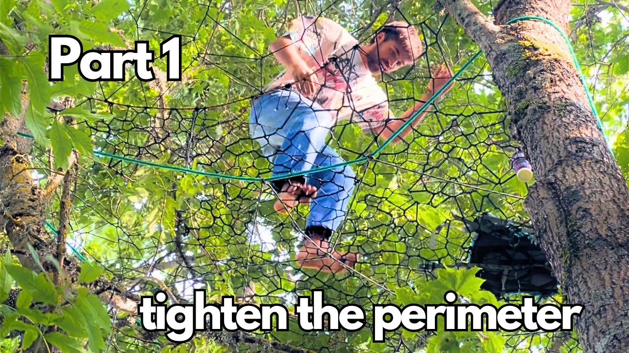 How to make a TREENET: Tight Perimeter