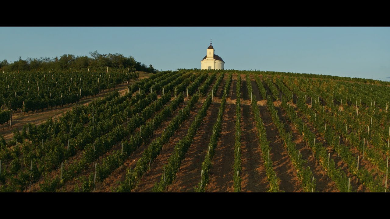 WOW Hungary - Tokaj and Nyíregyháza