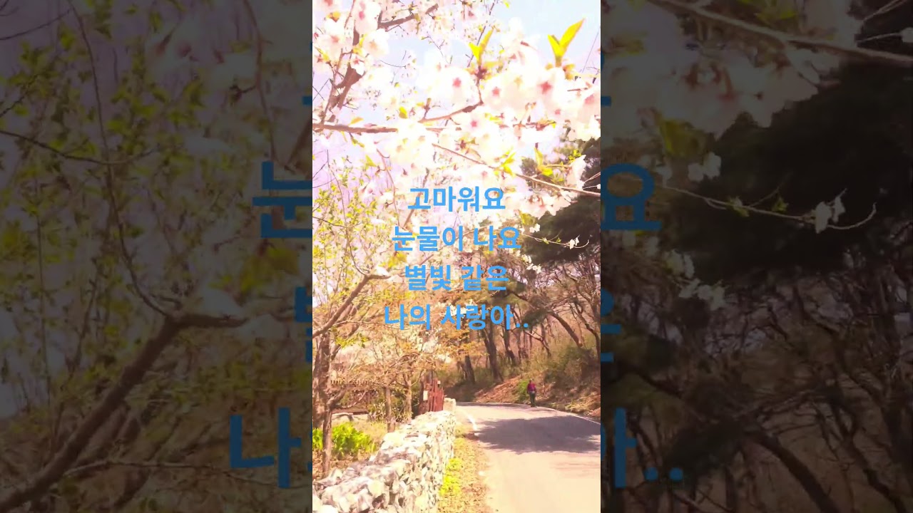 ☆별빛같은 나의 사랑아/💞💞💞💕#임영웅👑🍭🍭🍭 #강화도창후리#사진작가님#영상지원🌈💙🌈💙🌈💙