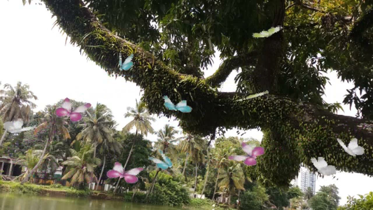 kombil kilukkam ketti song