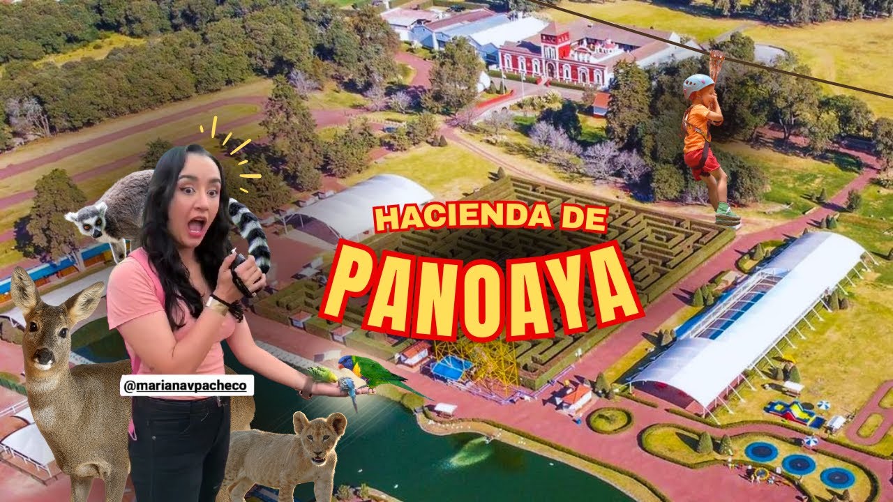 Vamos a la Hacienda de Panoaya: Naturaleza, Cultura y Diversión | ¿Qué hacer en Edo. Méx?
