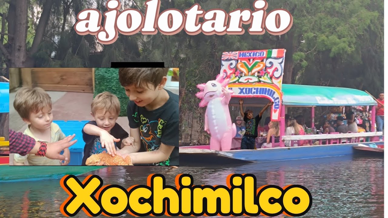 Gaius visita Xochimilco, un lugar para visitar en familia, vamos al ajolotario.