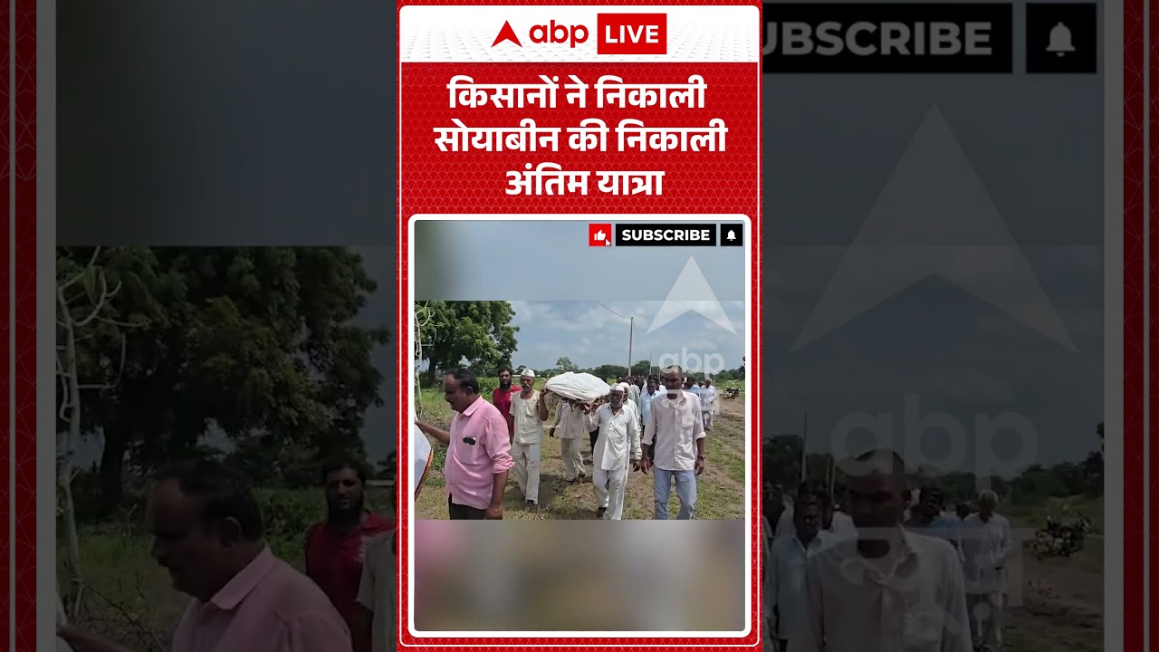 Viral Video : किसानों ने निकाली सोयाबीन की निकाली अंतिम यात्रा | #viral #ytshorts