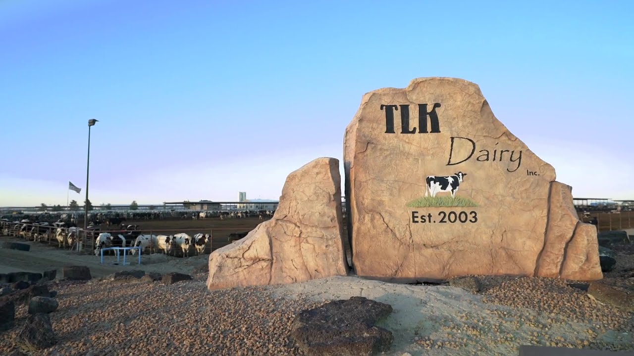 How TLK Dairy uses RFID with DHI-Plus herd management software
