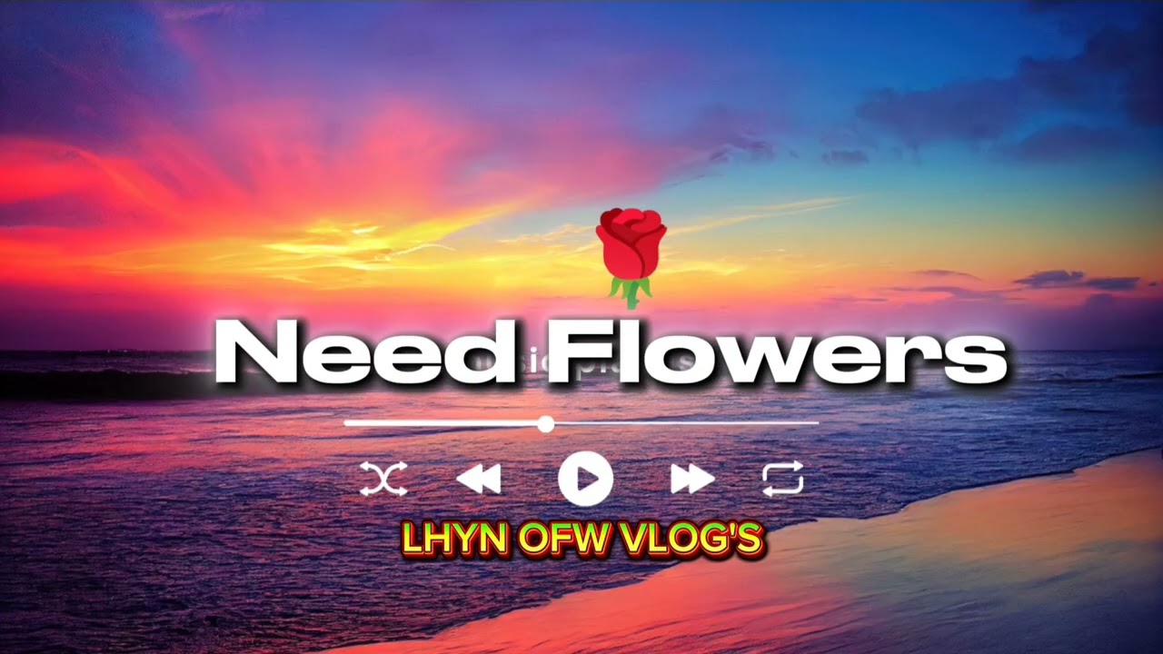BALLAD 2025 SONG COLLECTION |LHYNOFWVLOG'S