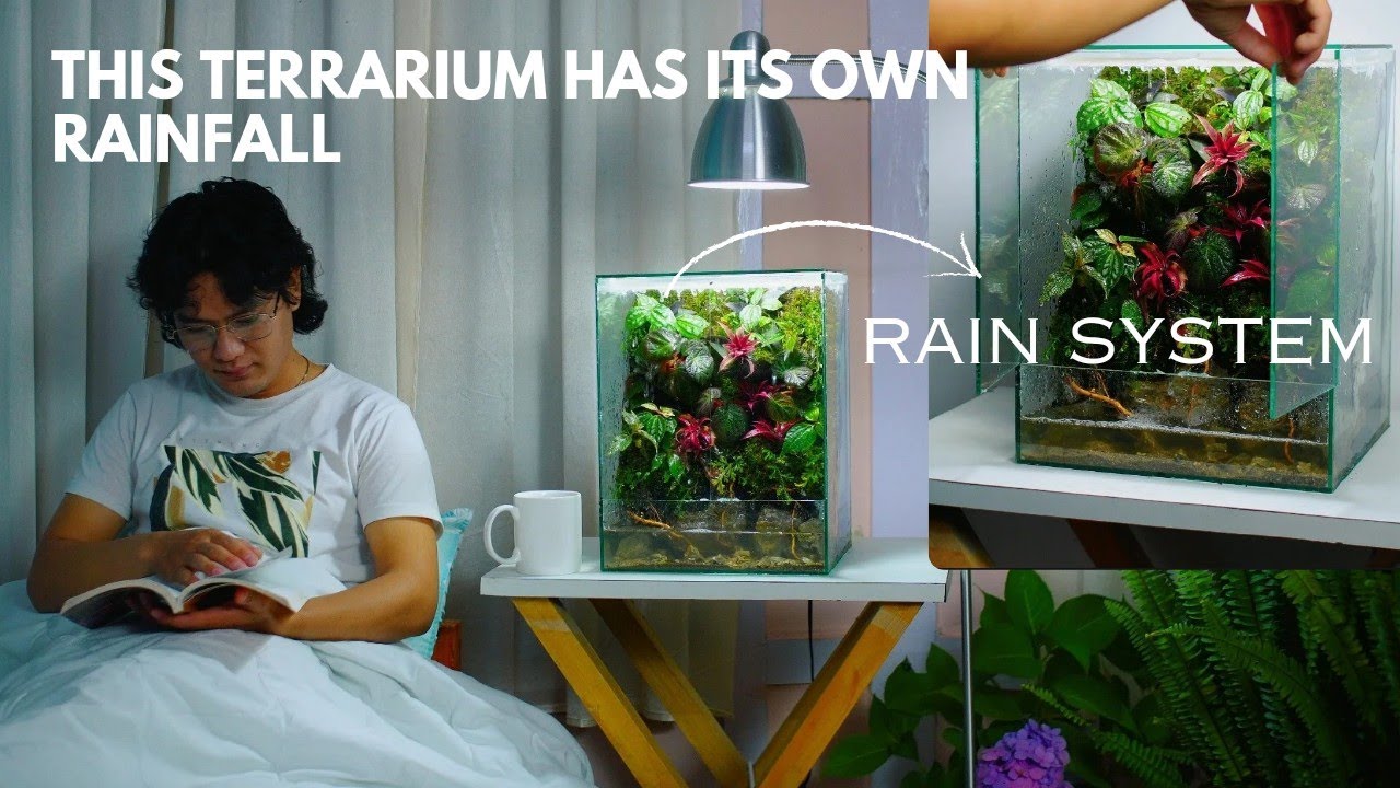 i made a raining terrarium with a diy glass door | rainfall paludarium