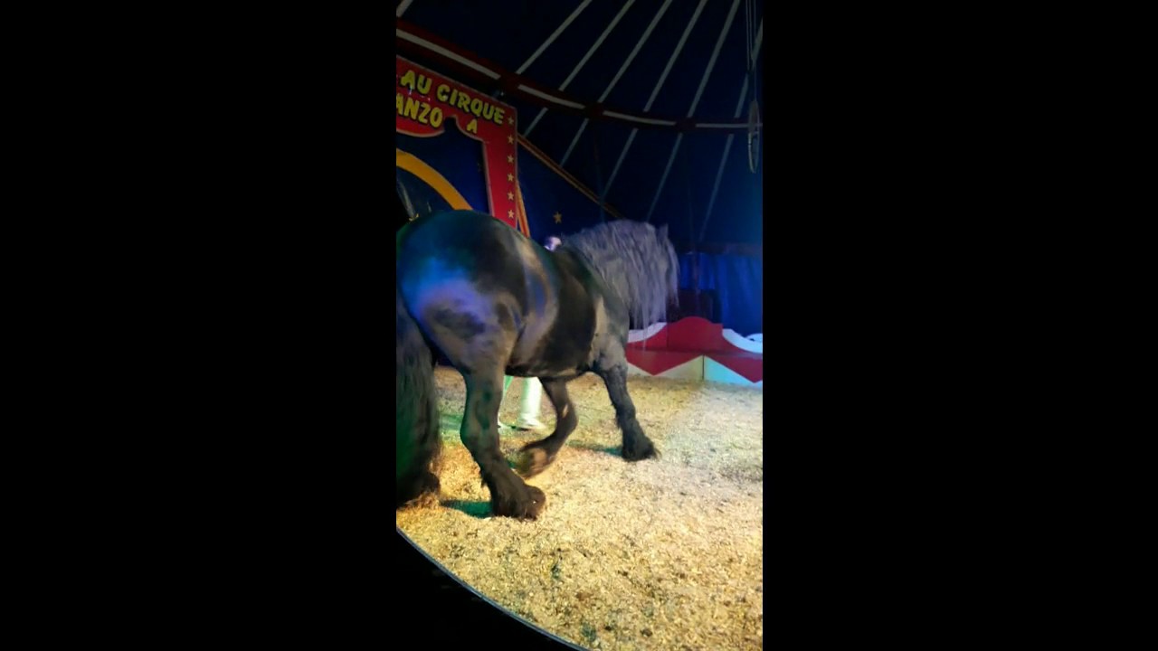 cirque armanzo
