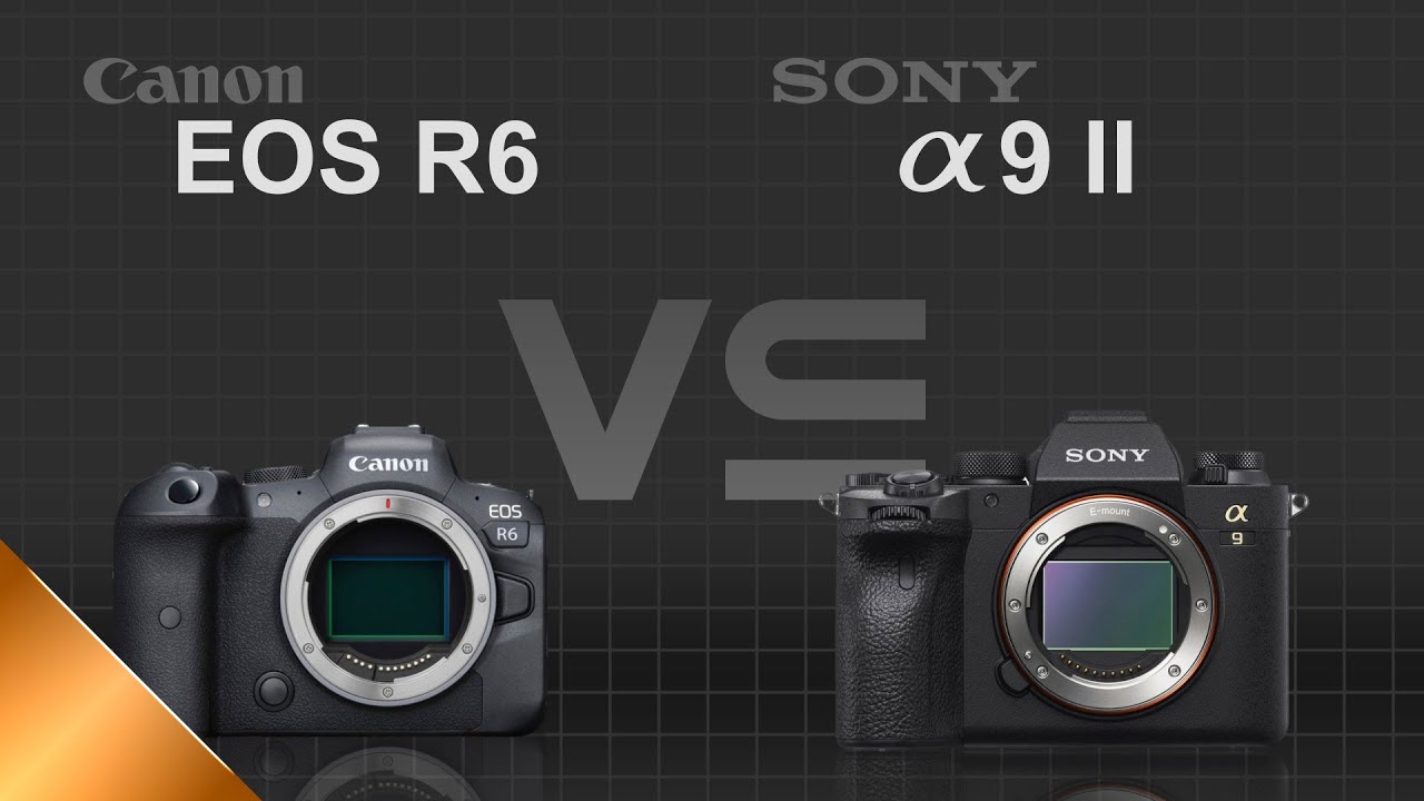 Canon EOS R6 vs Sony alpha a9 II