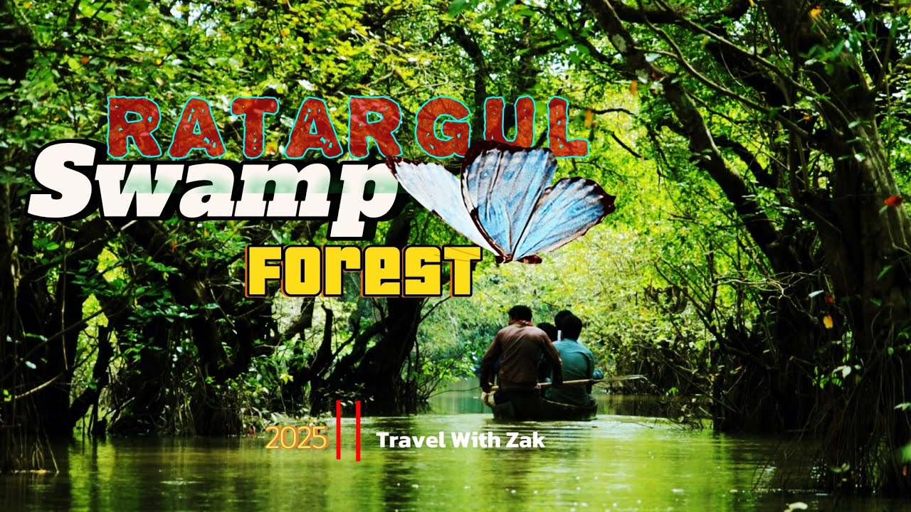 Ratargul Swamp Forest Sylhet ||কম খরচে একদিনে ||  ভোলাগঞ্জ সাদাপাথর || রাতারগুল ভ্রমন গাইড।