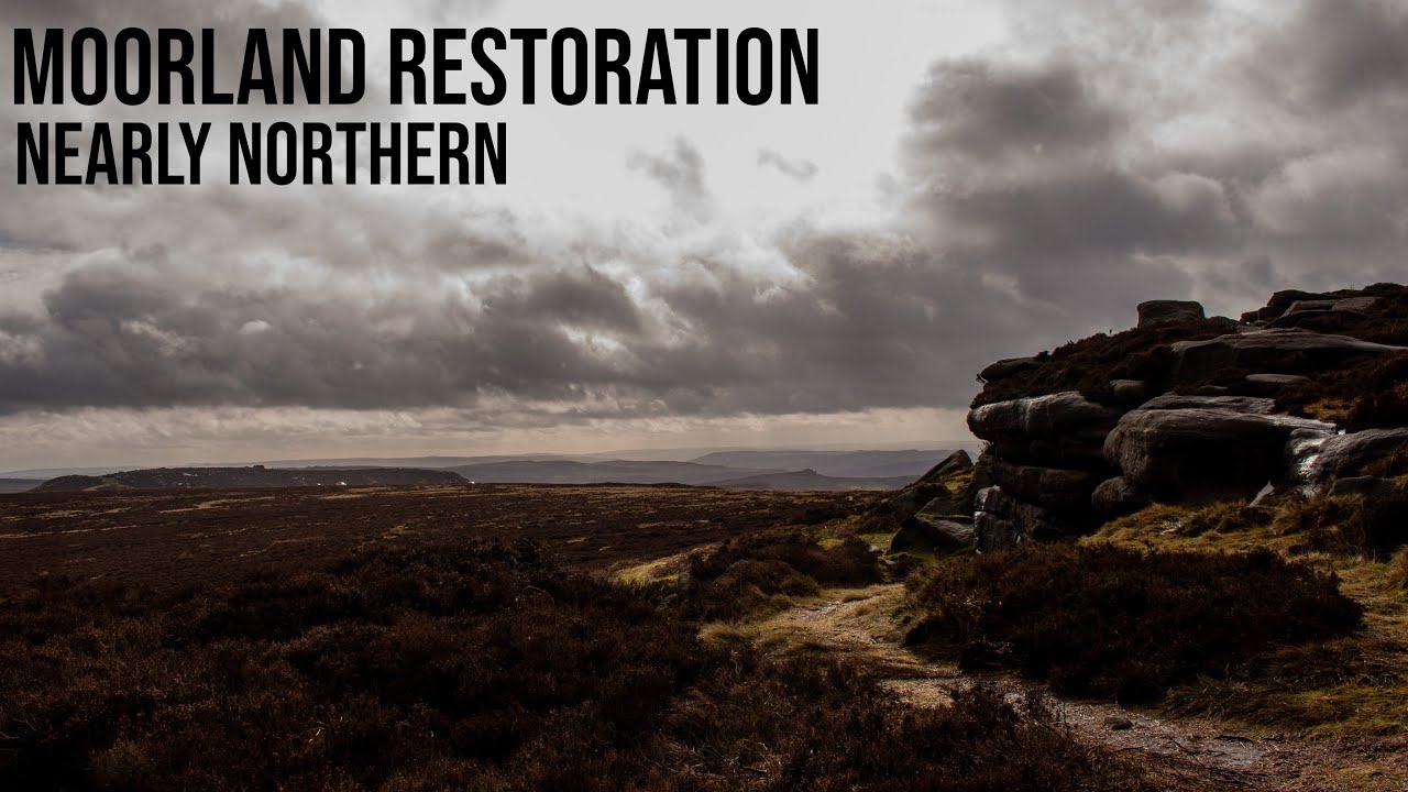 Moorland Restoration