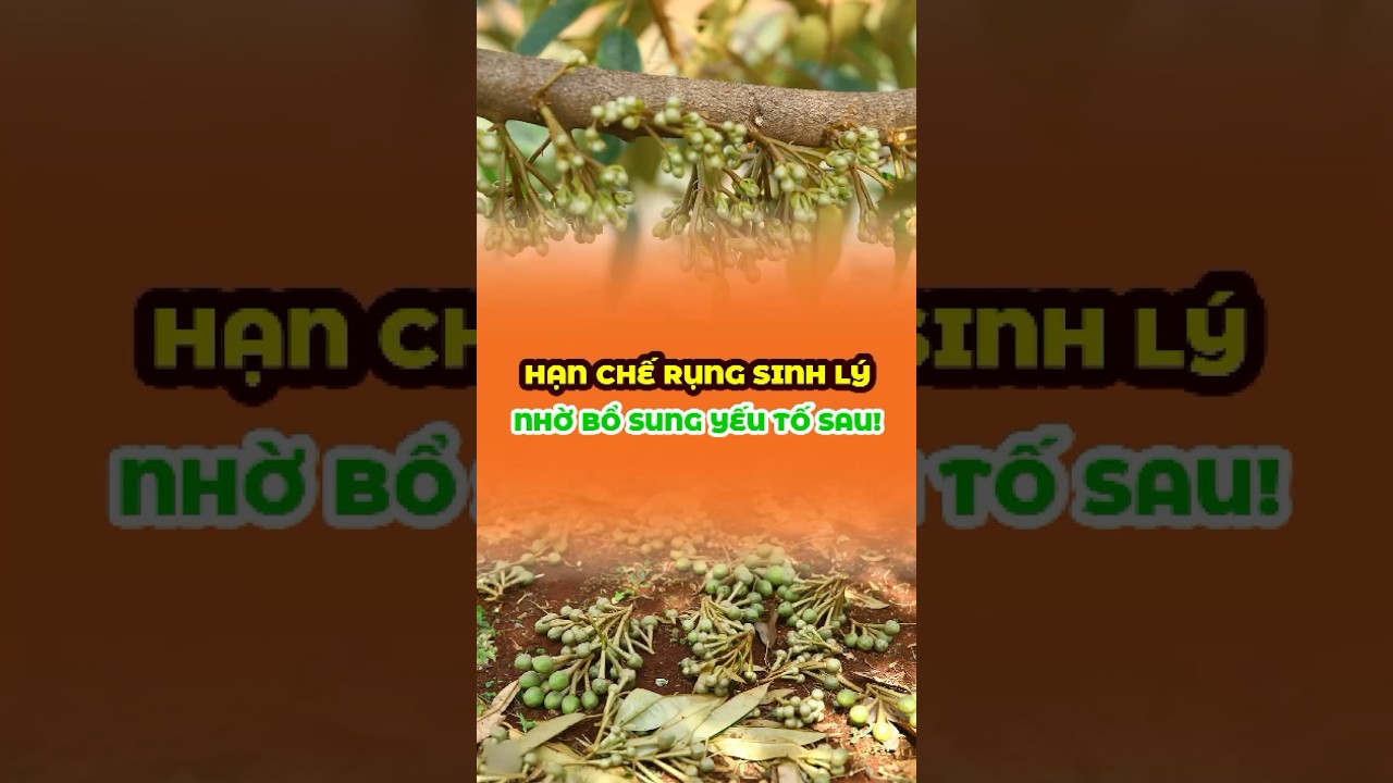Hạn chế rụng sinh l&yacute; nhờ bổ sung yếu tố sau! #caytrong #shorts #video