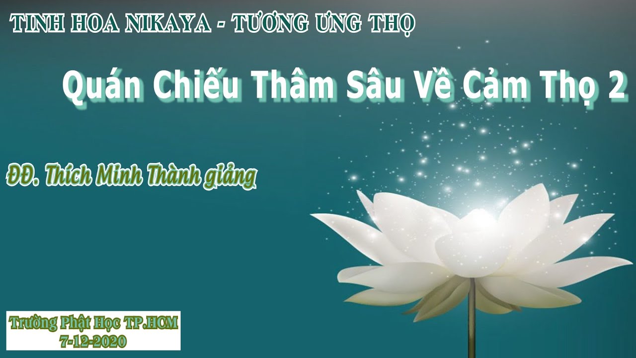 Tinh Hoa NIKAYA - Tương Ưng Thọ - Quán Chiếu Thâm Sâu Về Cảm Thọ 2