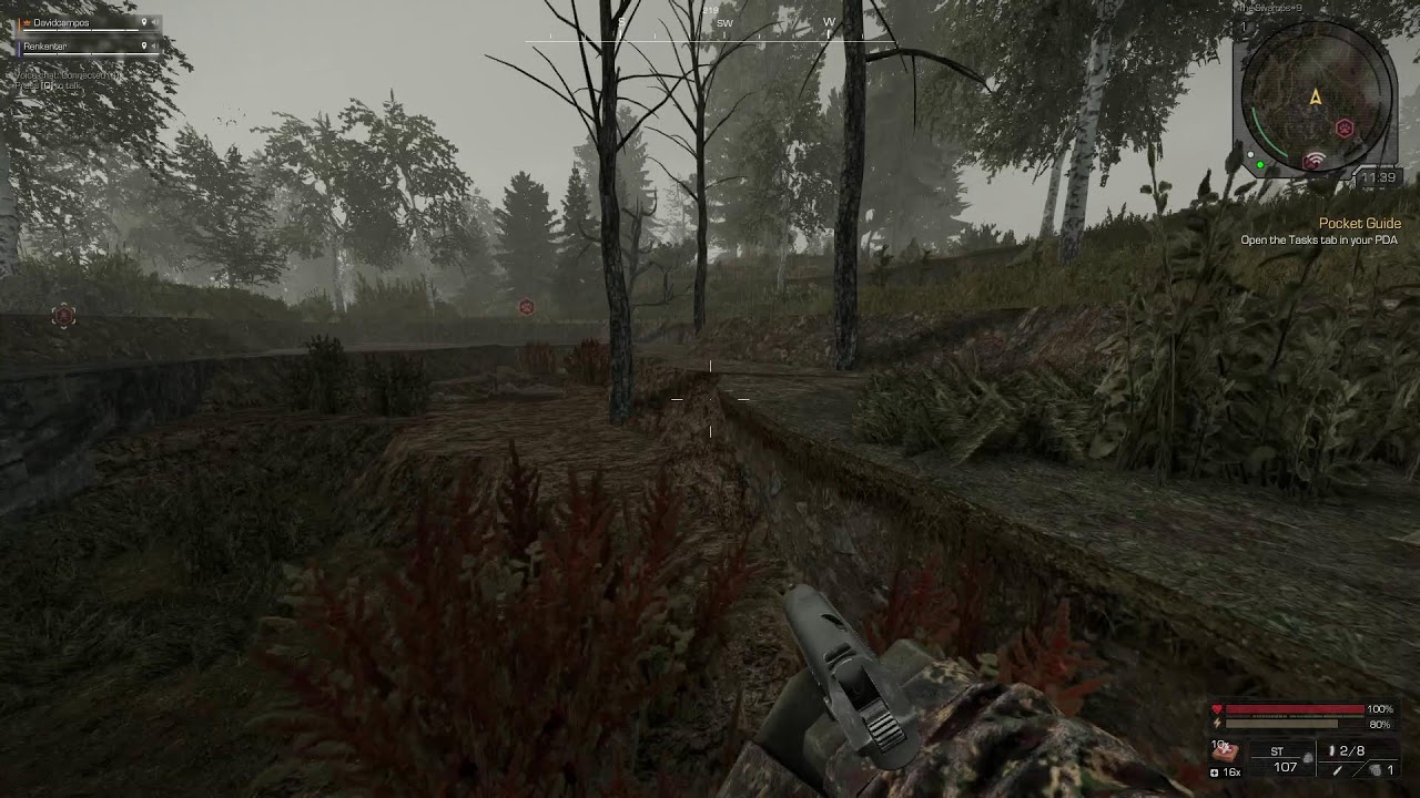 Stalcraft no mic