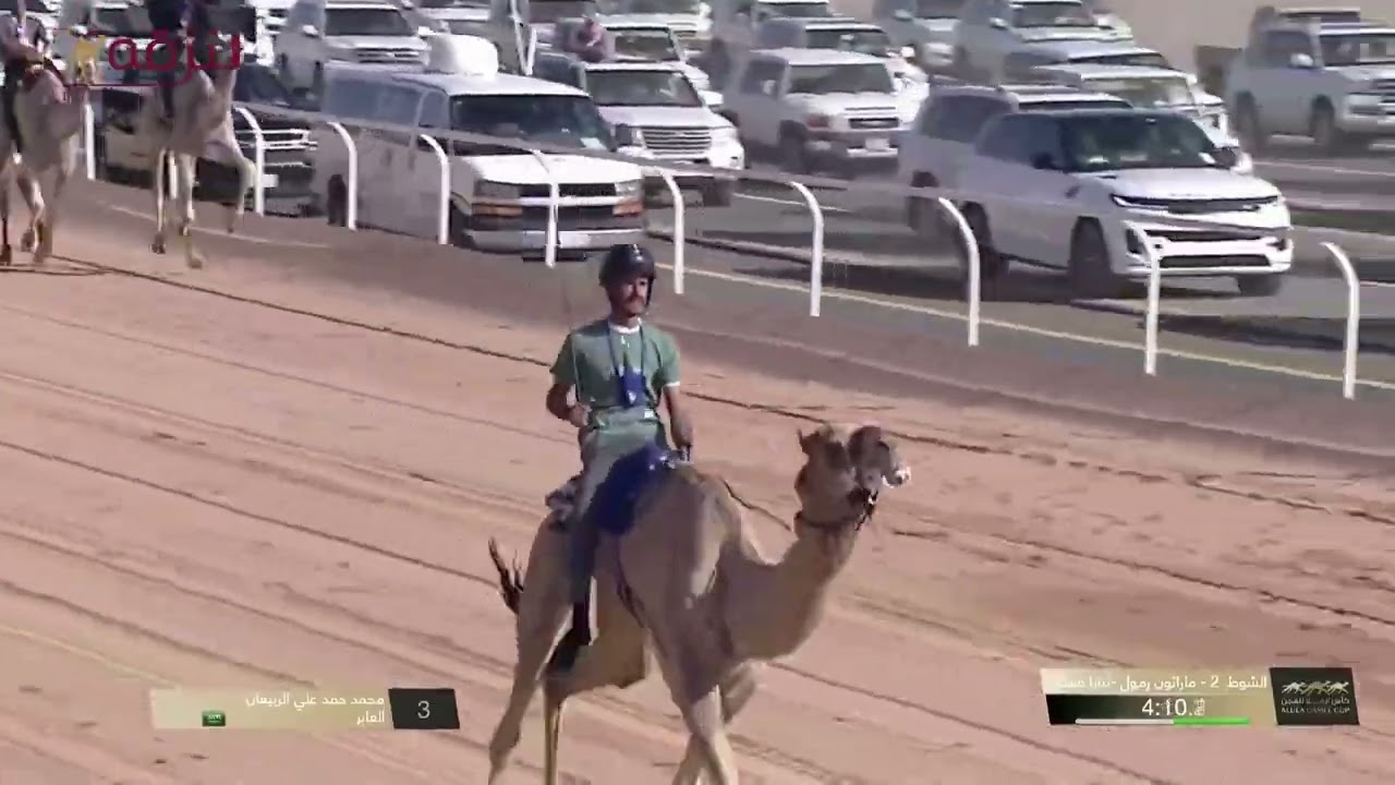 ش2 العابر لـ سلطان سالم رباح الحربي (كأس العلا للهجن) ماراثون- زمول وثنايا قعدان 9:29:69