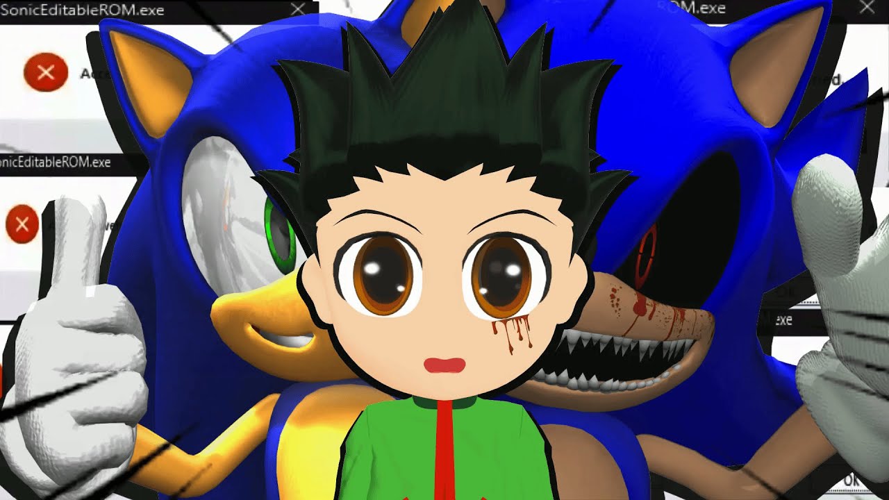SONIC VEUT ACCEDER A MA WEBCAM !!😱​😭​