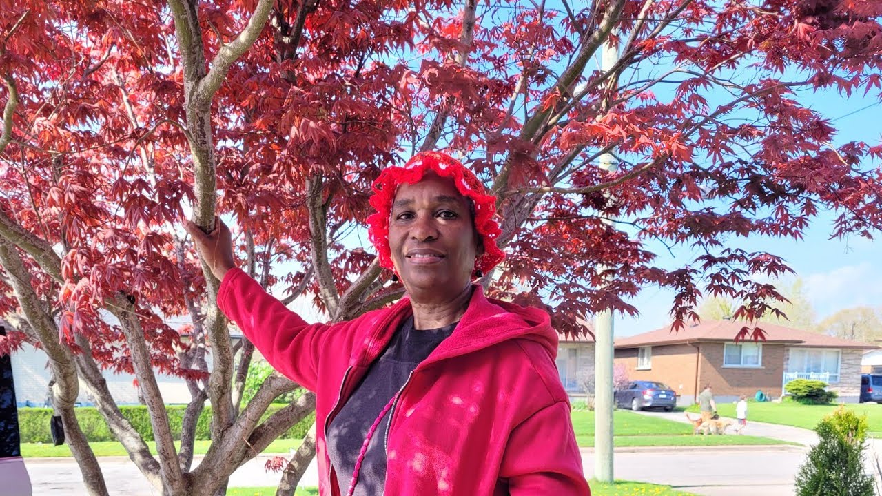 A CHAPTER A DAY-GENESIS 12 ABRAM GOES TO EGYPT