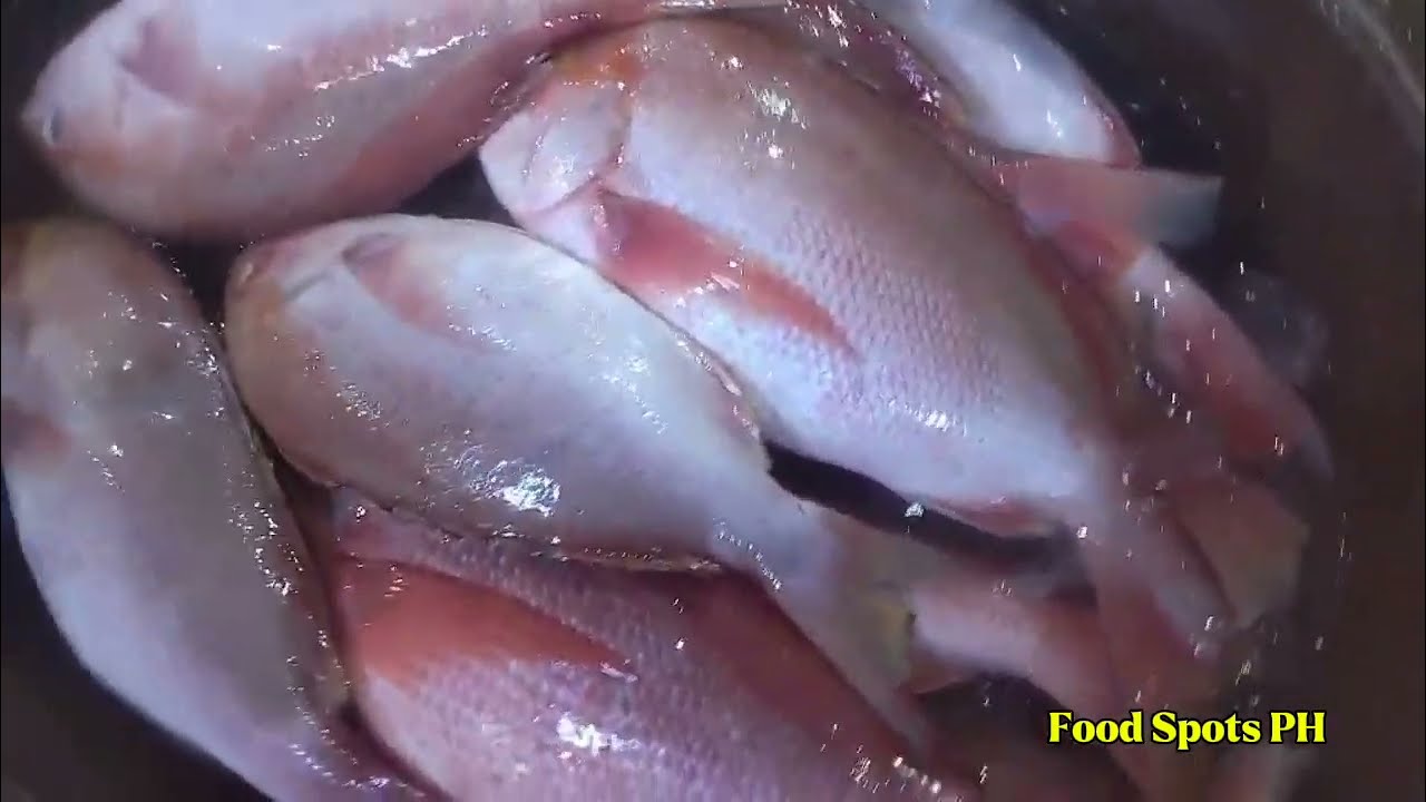 A Trip to the Bulungan Fish Market in Paranaque | Food Spots PH