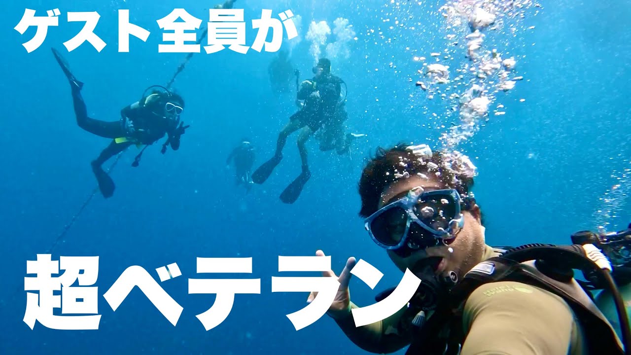 今年最強メンバーでエントリーした沖縄残波岬のダイビングが面白すぎた。