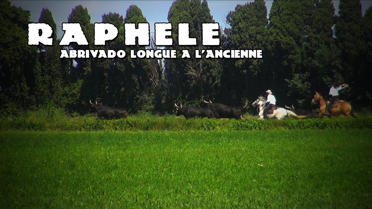 RAPHELE Abrivado Longue à l'Ancienne 01-08-2021 ☀