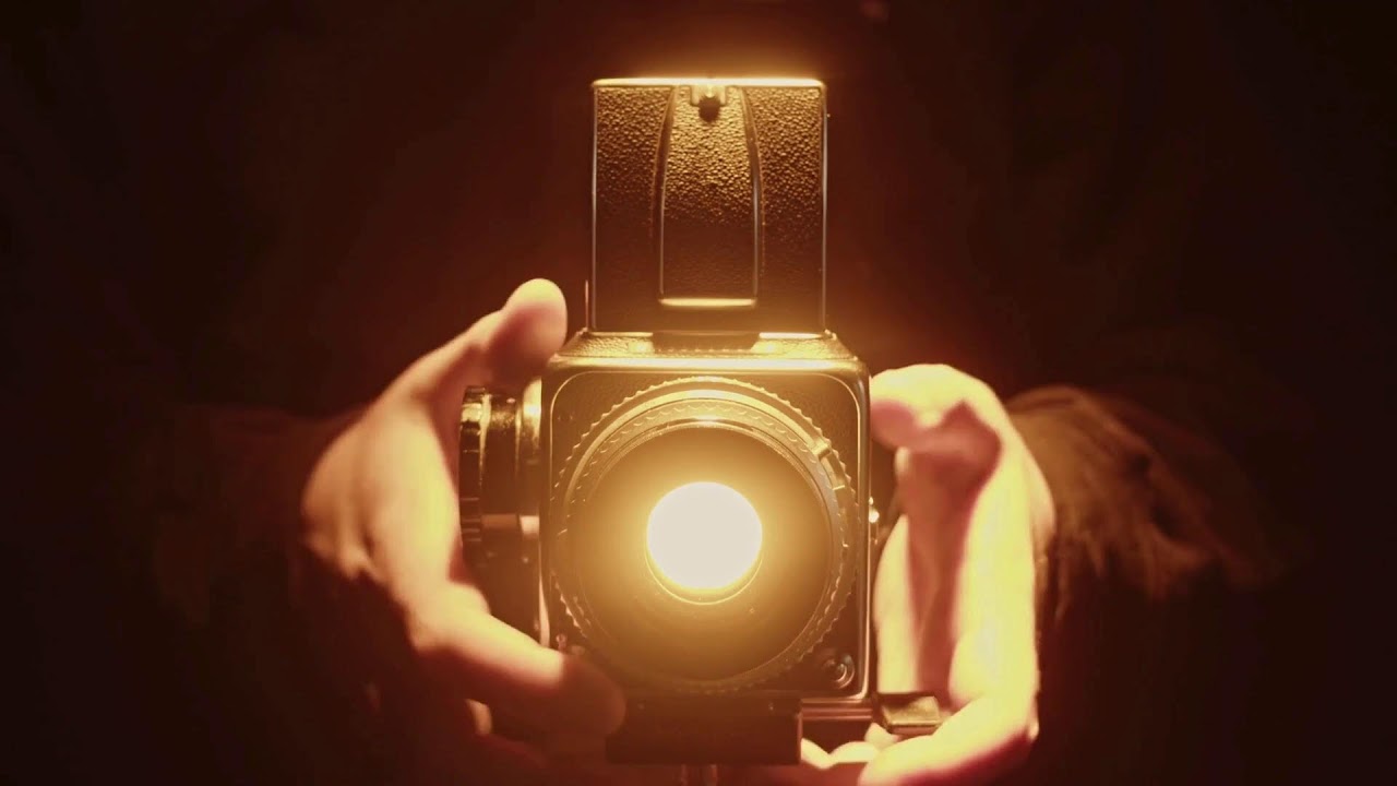 Право и знания | Народный пульс