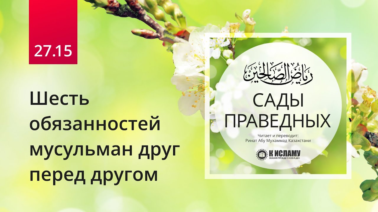 27.15 Шесть обязанностей мусульман друг перед другом. Хадис 238 | Сады праведных. Ринат Абу Мухаммад