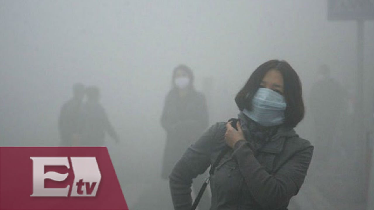 &iquest;C&oacute;mo nos perjudica la contaminaci&oacute;n ambiental? / Kimberly Armengol