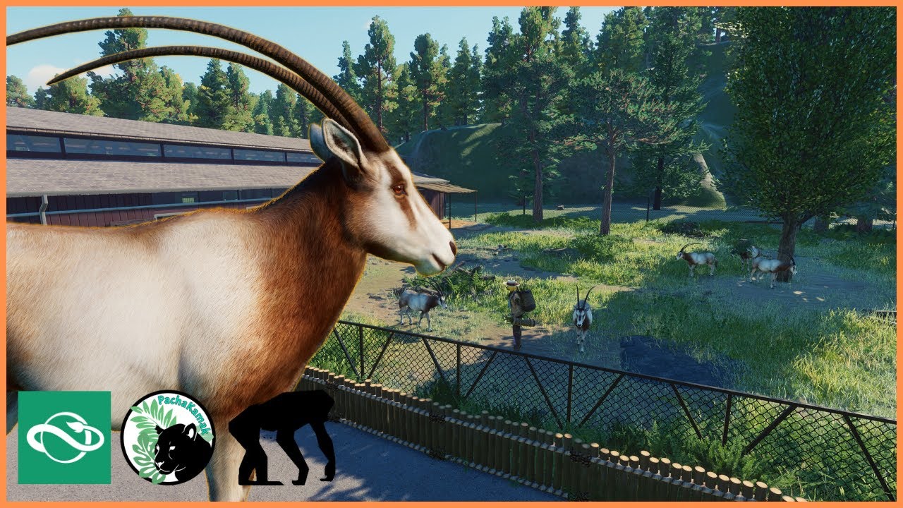 The rarest animal: SCIMITAR ORYX | Isle of Wild | Planet Zoo | #5