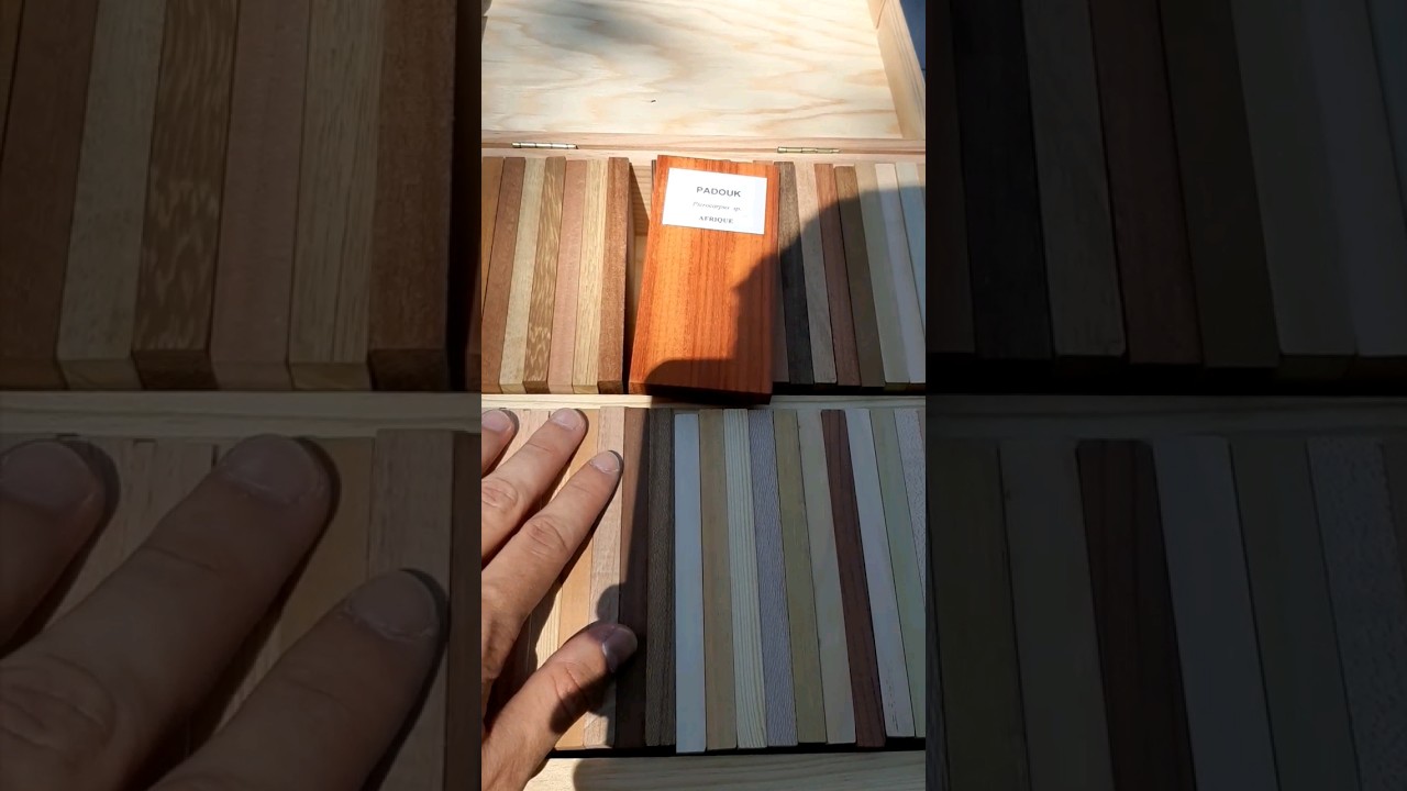 Un cadeau 🎁 pour les forestiers : &Eacute;chantillons de #bois 🪵