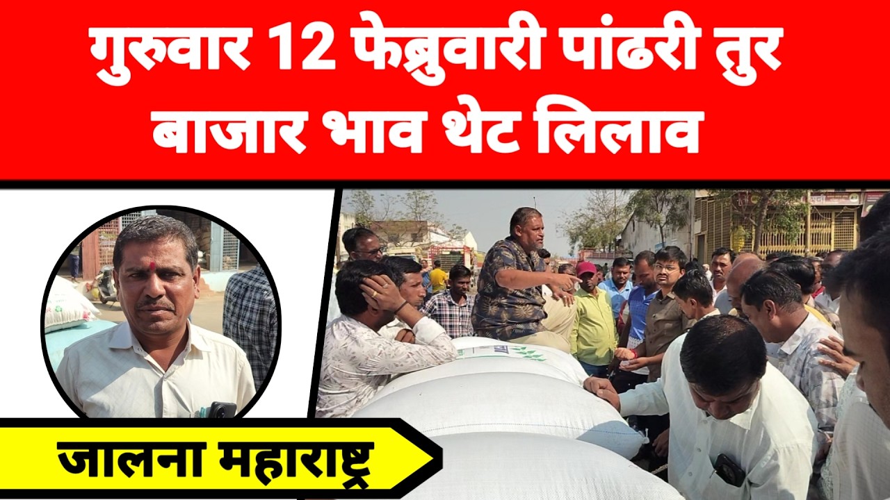 गुरुवार 12 फेब्रुवारी पांढरी तुर बाजार भाव थेट लिलाव जालना महाराष्ट्र || तुरीला काय मिळतो भाव