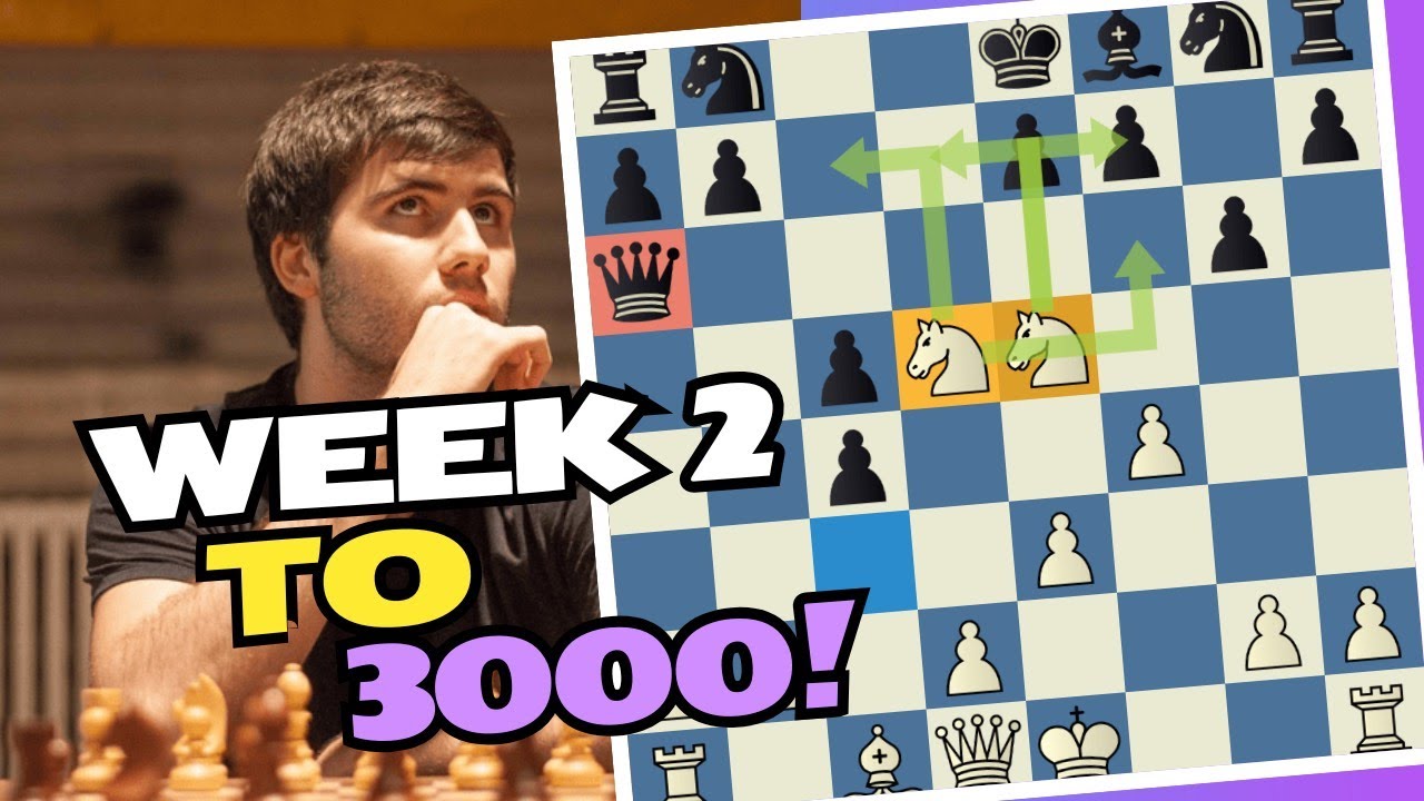 I played GINGER GM in Bird's Opening | Week 2 to 3000