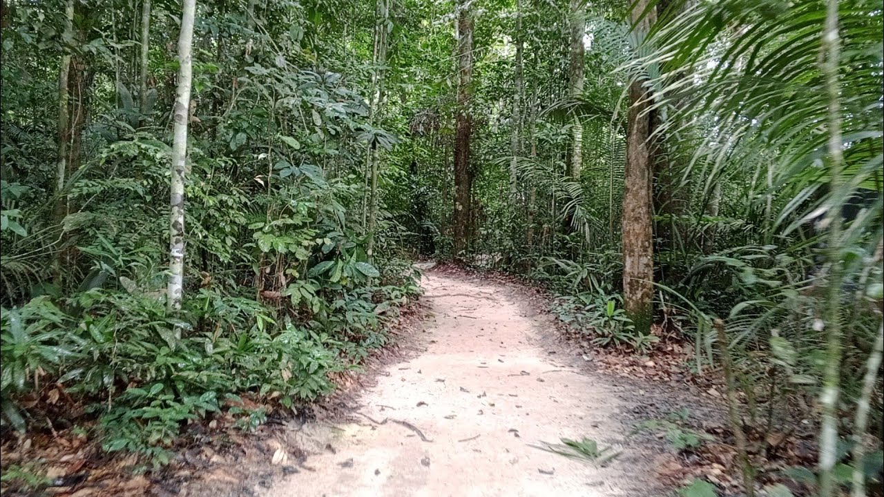 26/01/2026 Passeio pelo Museu da Amazônia em Manaus, p.3. Прогулка по Музею Амазонки в Манаусе, ч.3.
