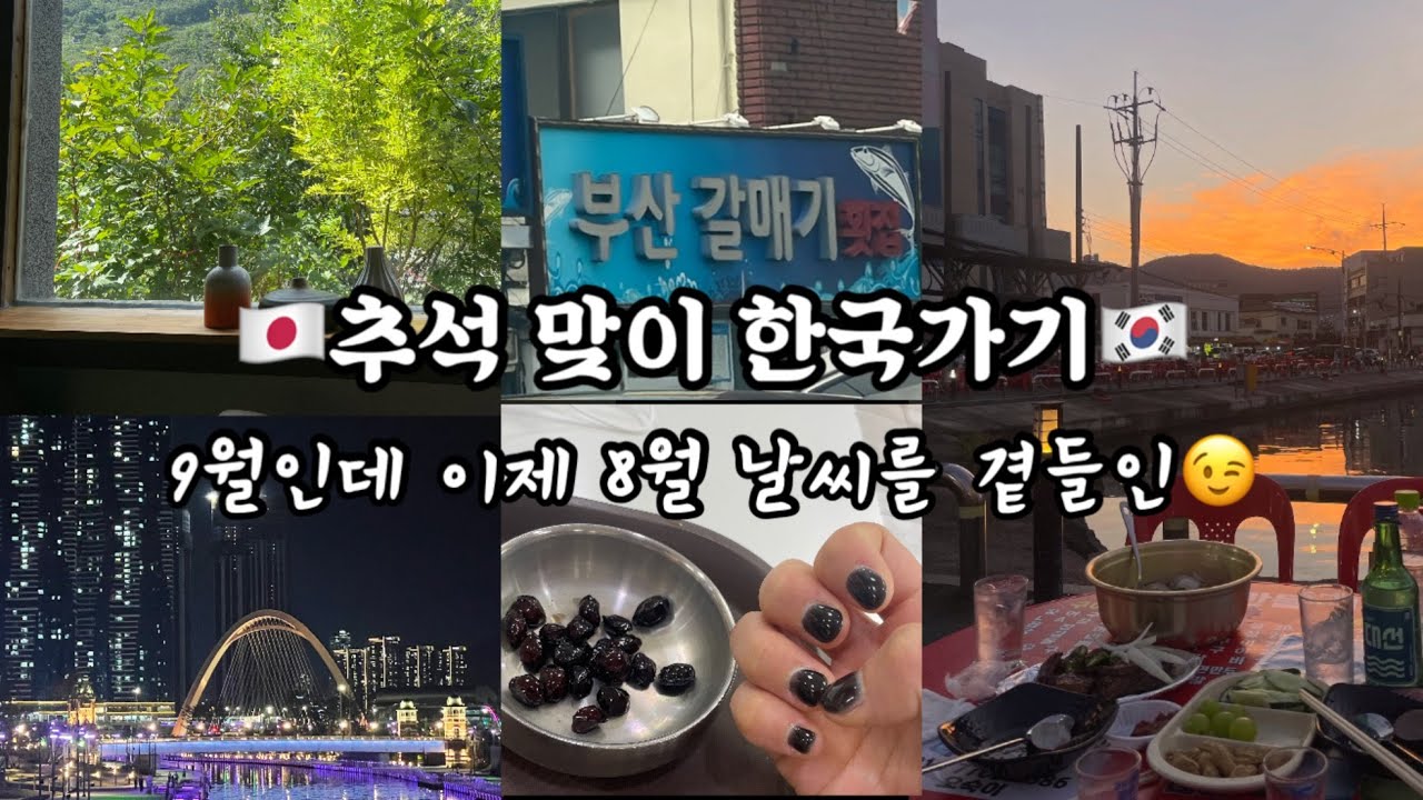 🇯🇵추석 맞이 한국가기🇰🇷 / 9월인데 이제 8월 날씨를 곁들인😉
