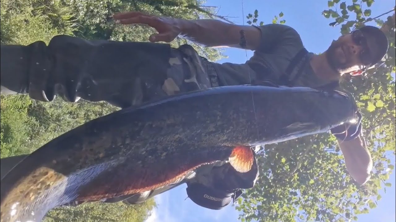 Siluro over 120cm in arno a spinning