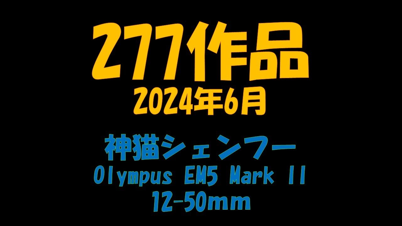277作品　2024年6月　神猫シェンフー　Olympus　EM-5 MarkII  12-50ｍｍ