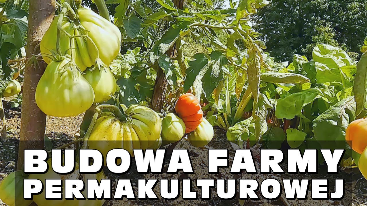 Budowa farmy permakulturowej