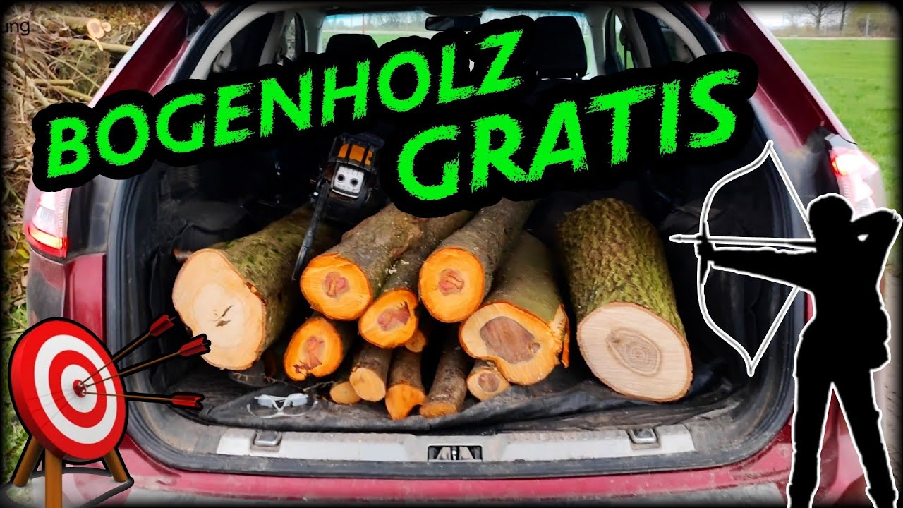 Wieder mal Glück gehabt.🏹Kostenloses Bogen holz. V-Log