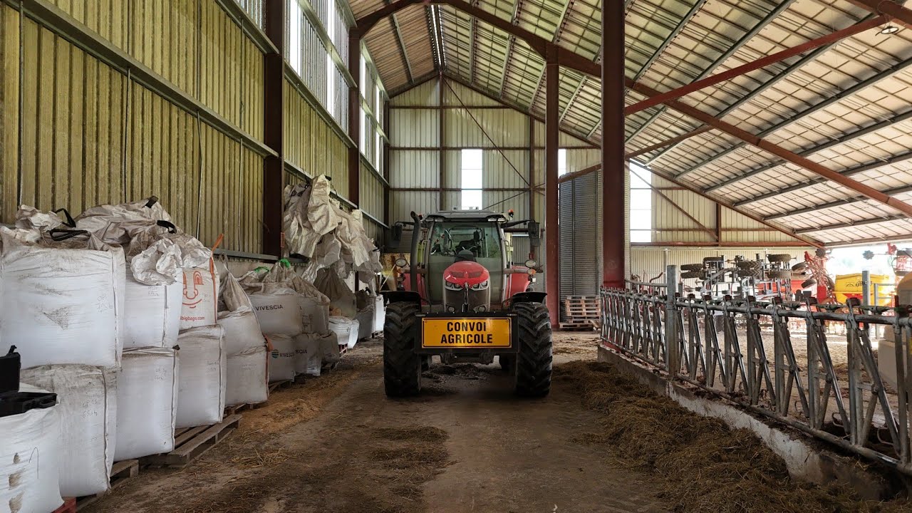 curage des génisses au GAEC Masselot Pascal avec Tom 🚜🐮
