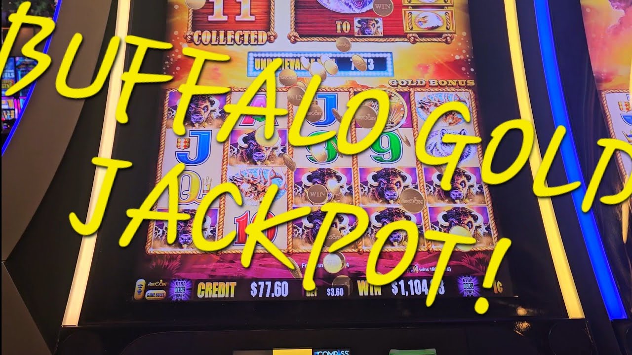 Buffalo Gold Gives Back! JACKPOT!!! 