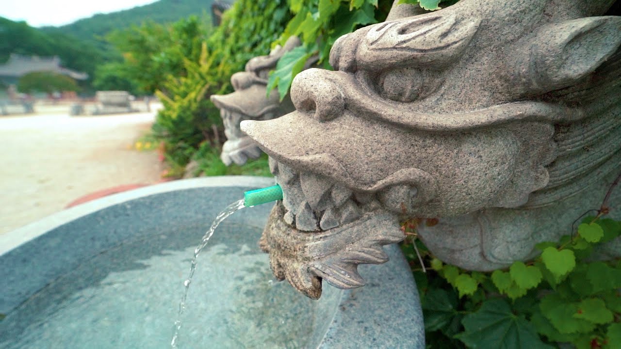 [local travel] gimje 김제 예고