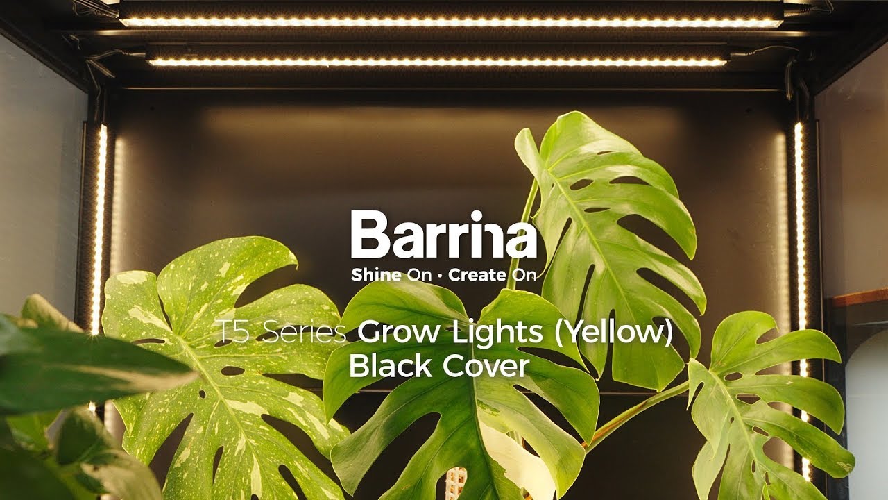 Barrina T5 Series Grow Lights Yellow (Black Cover Magnetic) Installation and Usage #barrina