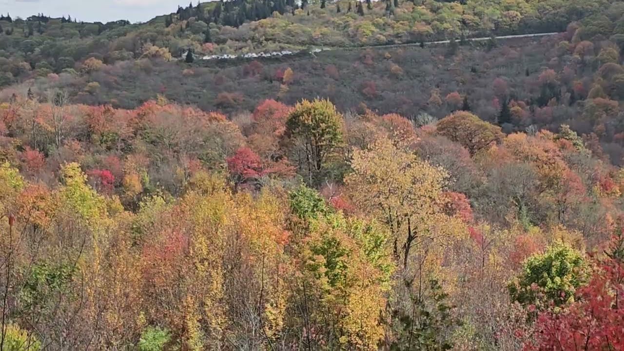 Graveyard Fields Ridge Trail, Part 9