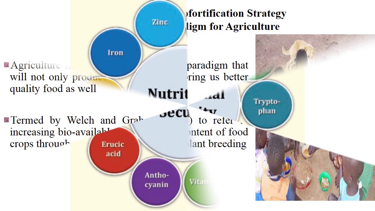 Biofortification