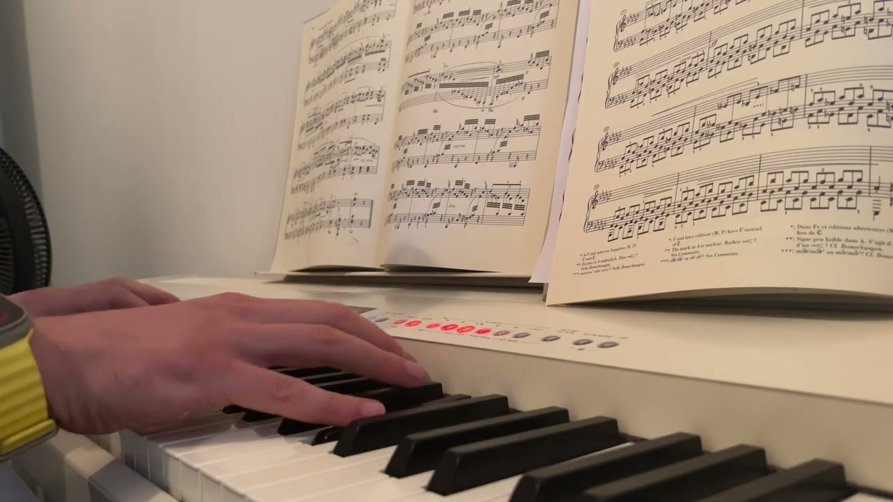 Johannes Brahms: Intermezzo op. 117 No. 1 E Flat Major