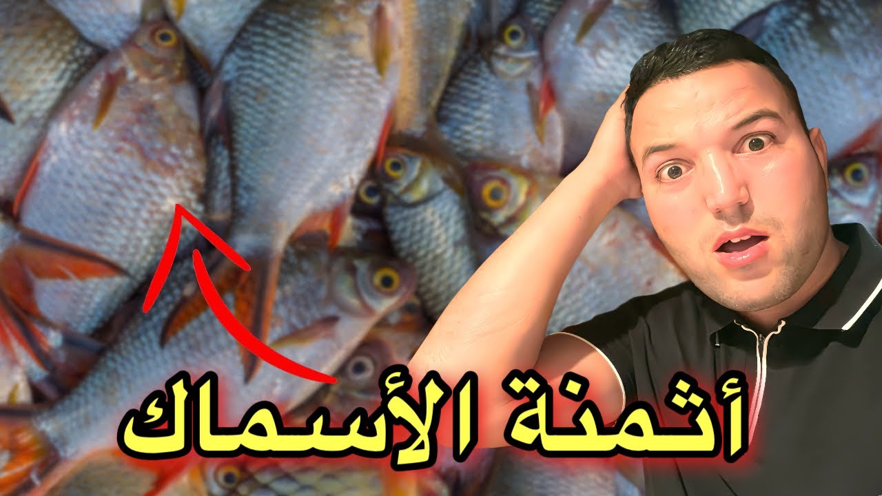 أسعار الأسماك في الصين: رخيصة أم غالية ؟ 🇨🇳